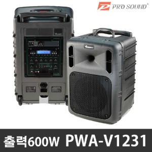 VICBOSS PWA-V1231 600W 충전형앰프  버스킹 이동식 포터블 앰프 강의용 공연용